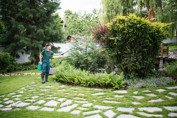 Best Best Pest Control Companies  in Dunnellon, FL