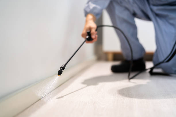 Professional Pest Control in Dunnellon, FL