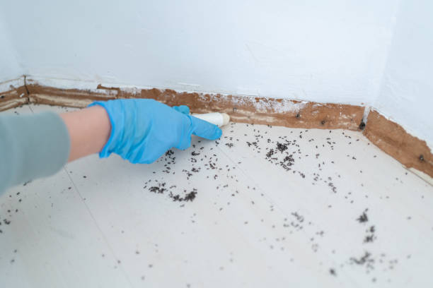 Best Wildlife Control Services  in Dunnellon, FL
